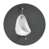 urinal bowl